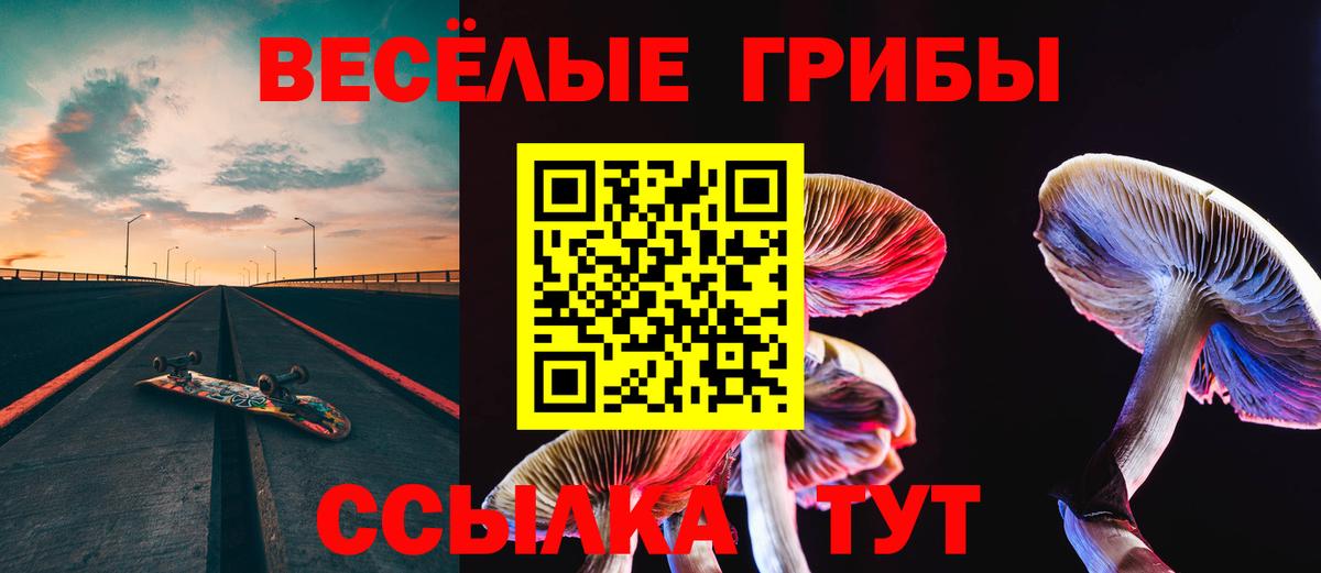 Галлюциногенные грибы Psilocybe Трёхгорный
